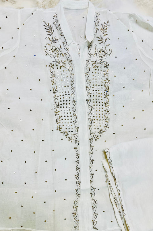 Kamdani and mukaish work co-ord set