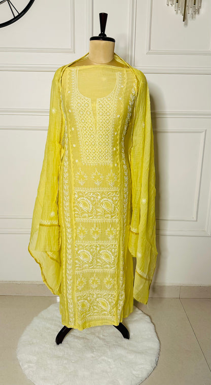 Chikankari fine jaali work straight suit