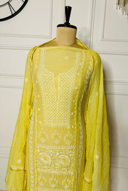 Chikankari fine jaali work straight suit